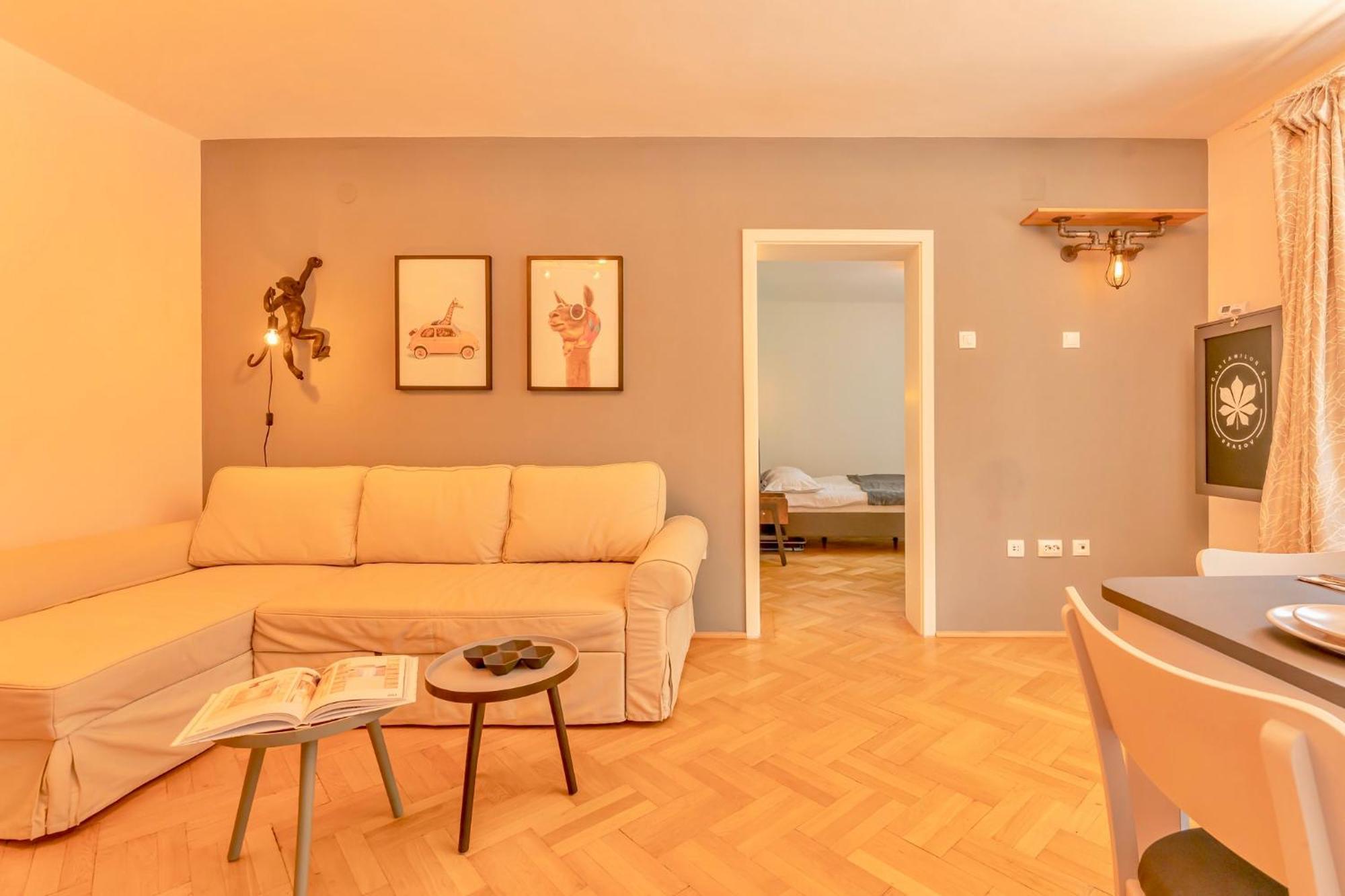 Castanilor 6 - Hip Industrial Apartment Close To City Centre Brasov Exterior photo